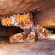 Image for article titled Monstrous Mining Machines Gallery